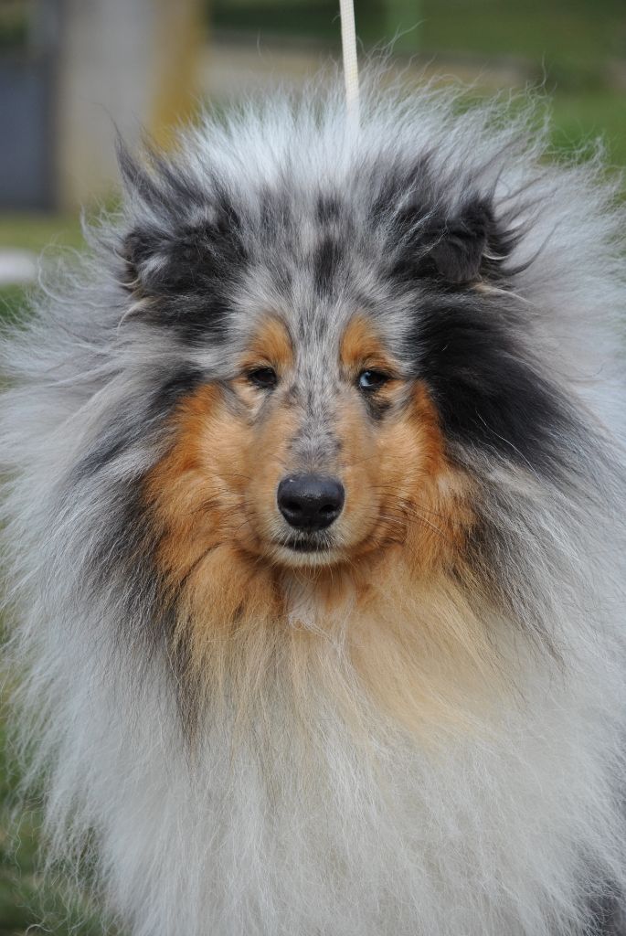 Nom de zeus marty d'Abarnakat
